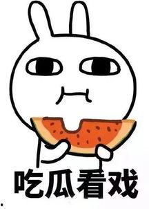 娱乐吃瓜酱学渣,揭秘娱乐圈背后的学渣生活